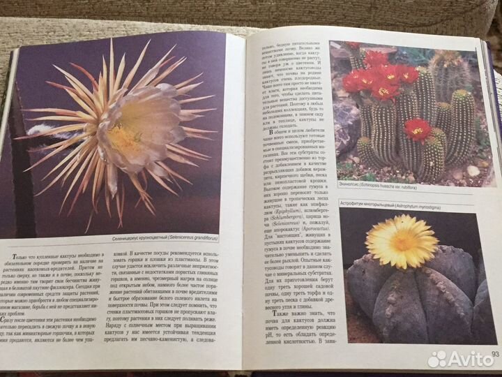 Мини- энциклопедия комнатные растения
