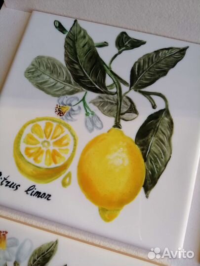 Панно с фруктами. Ручная роспись плитки. Ботаника