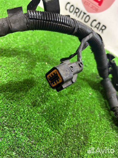 Проводка двигателя Kia Rio 2 JB G4EE 2006