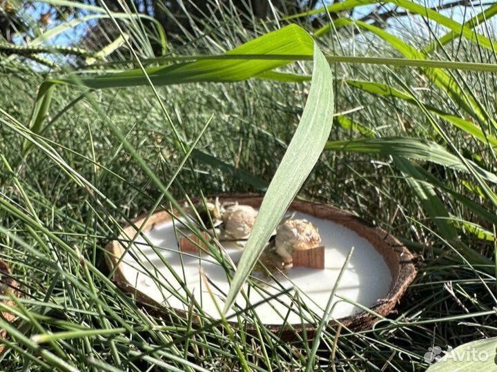 Свечи ручной работы энергетические