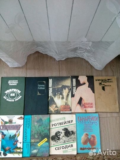 Анн и Серж Голон 