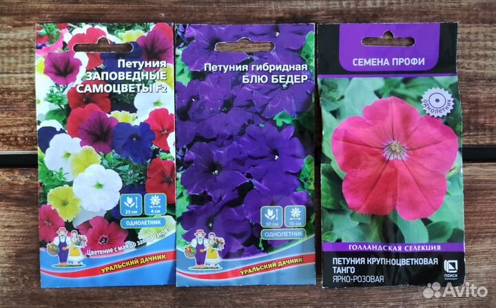 Семена Петунии