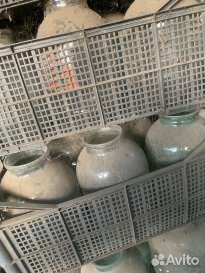 Банки 3 литра