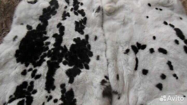 Мех кролика рекс