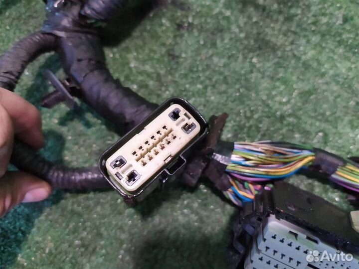 Жгут проводки двигателя Ford Focus 3 (CB8) 2015