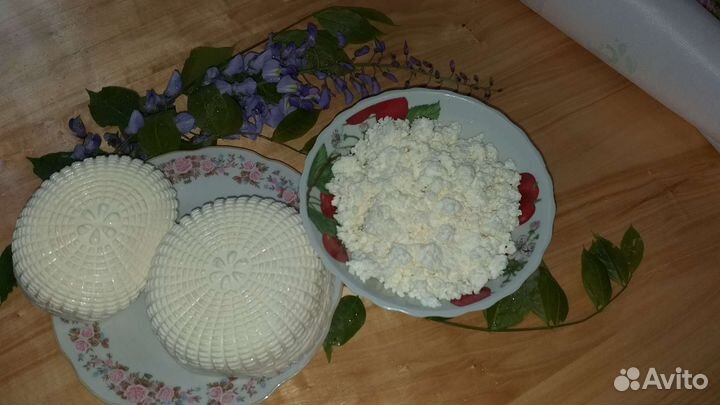 Сыр,творог,молоко(козье)