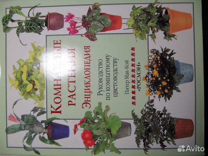 Комнатные растения