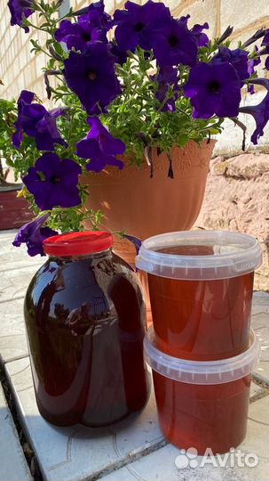 Мёд с пасеки