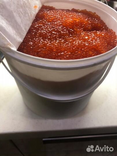 Икра форели Рыба форель