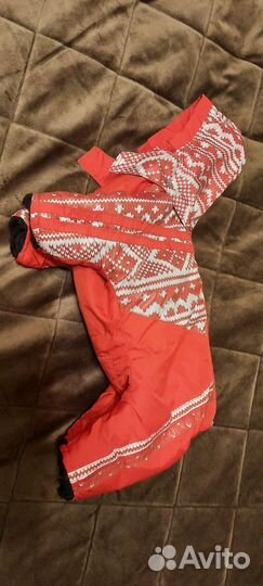 Комбинезон для маленькой собаки