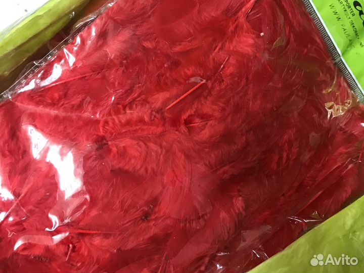 Перо цветное в упаковке