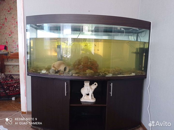 Продам аквариум