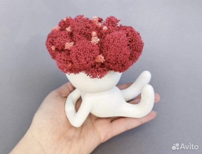 Кашпо со мхом