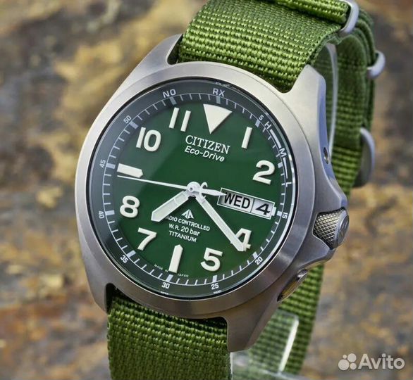 Citizen Promaster