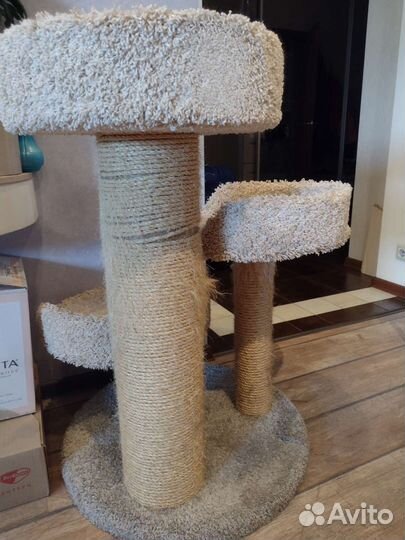 Когтеточка