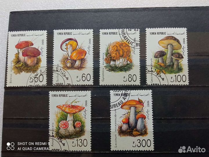 Марки на тему флора