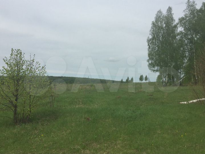 Участок 3 га (СНТ, ДНП)