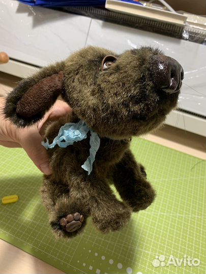 Песик Бублик