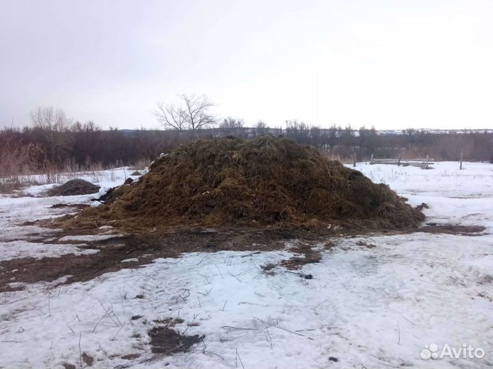 Перегной / Навоз