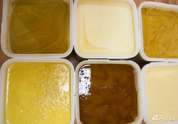 2024 Мед натуральный из Алтая оптом