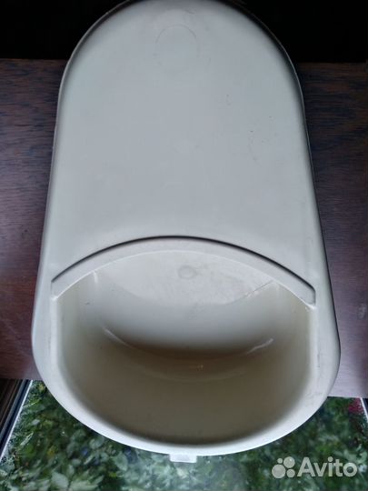 Утка медицинская 