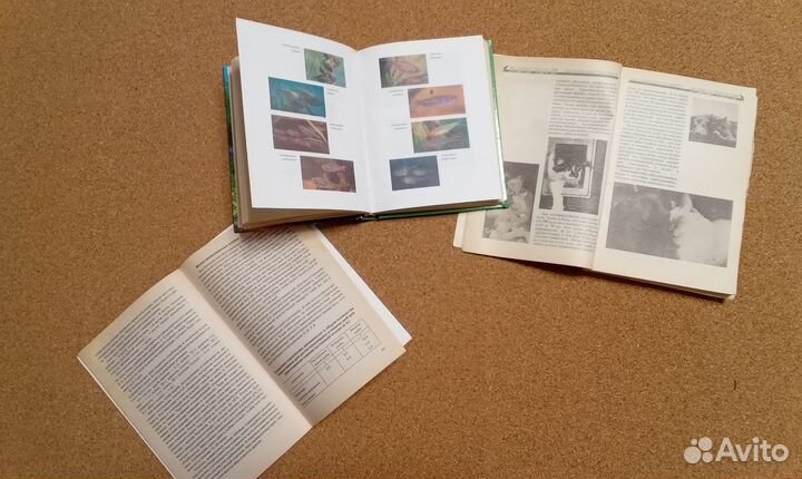 Книги о домашних животных питомцах рыбы кошки