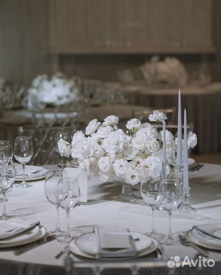 Аренда столов, стульев, посуды