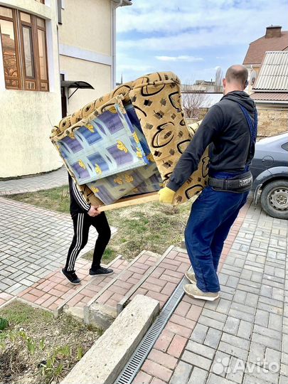 Грузчики Севастополь