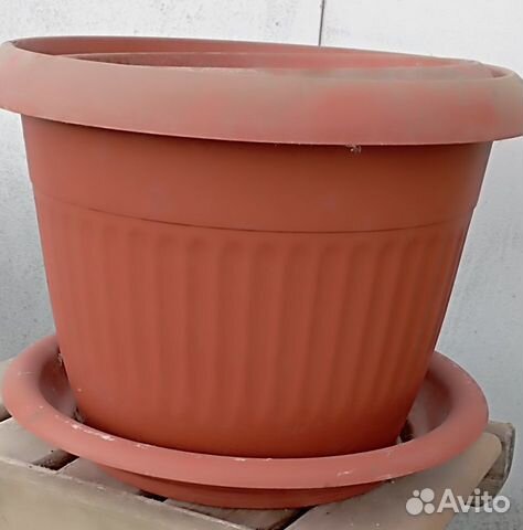 Горшки горшок для цветов