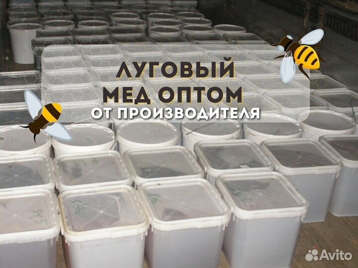Алтайский луговой мед оптом