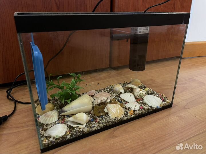 Аквариум