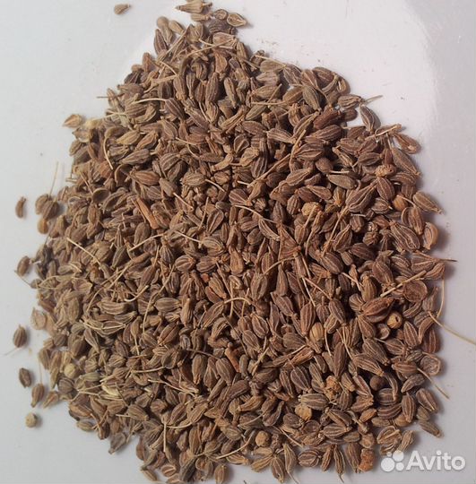 Анис (семена)