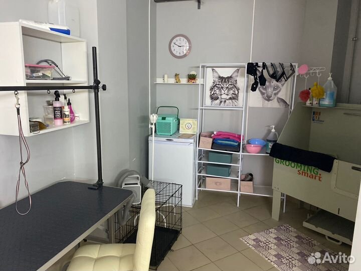 Груминг собак и кошек