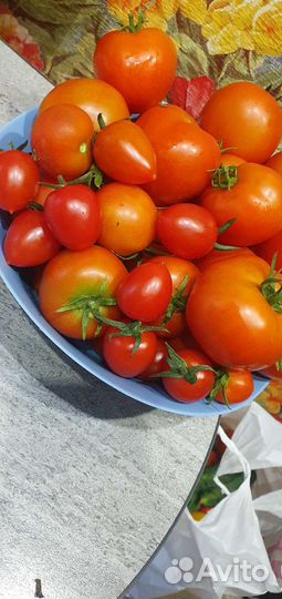 Помидоры