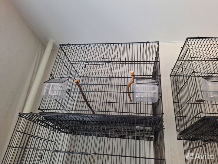 Клетки для птиц