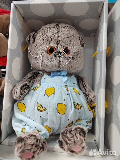 Коты басики