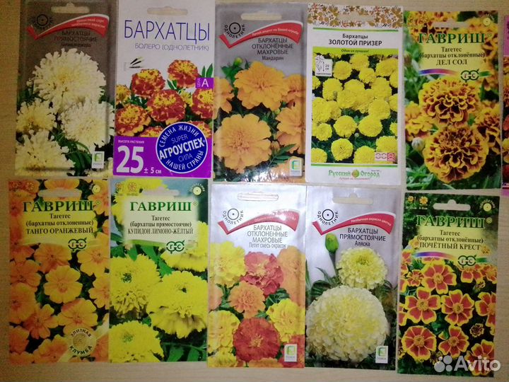 Цветы бархатцы семена
