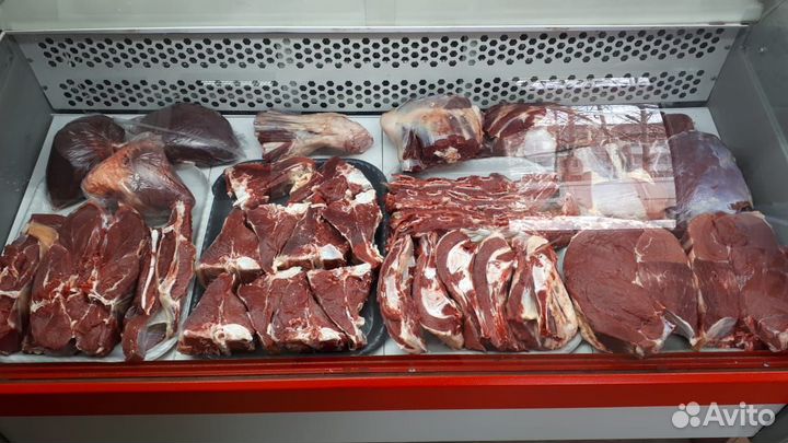 Конина,молодняк