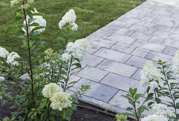 Брусчатка Оптом Тротуарная Плитка Шуганит