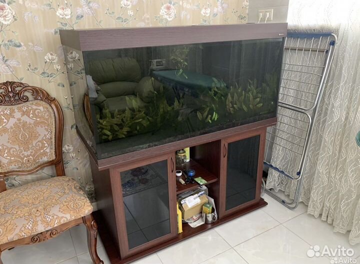 Аквариум