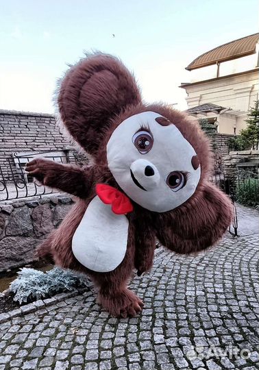 Чебурашка, аниматор, экспресс поздравление