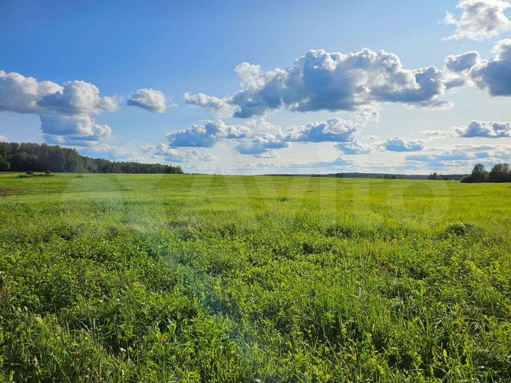 Участок 100 сот. (ИЖС)