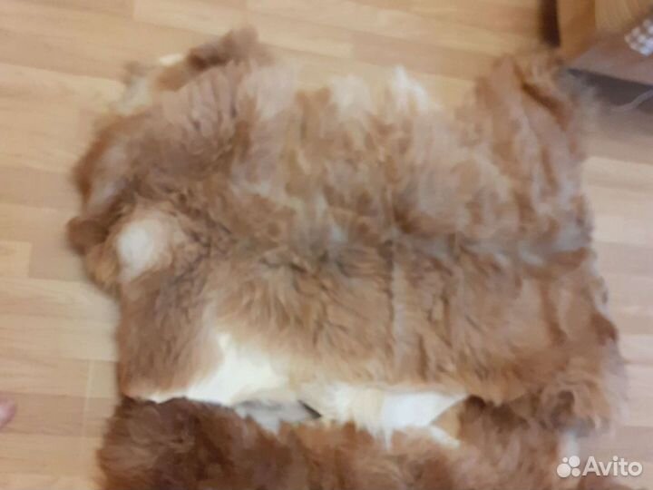 Шкурка животного