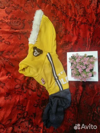 Одежда для маленьких собак