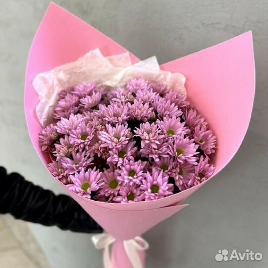 Заказать хризантемы