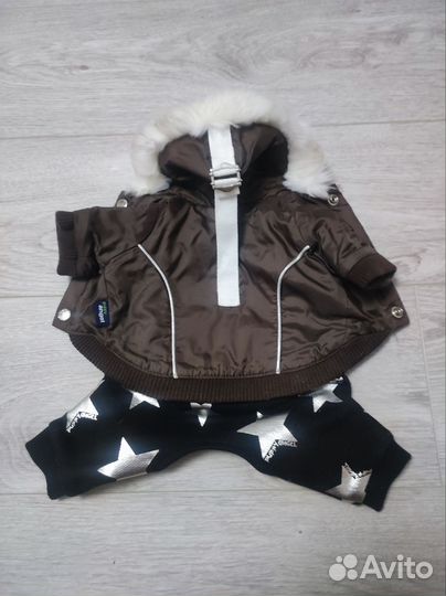 Одежда для собак