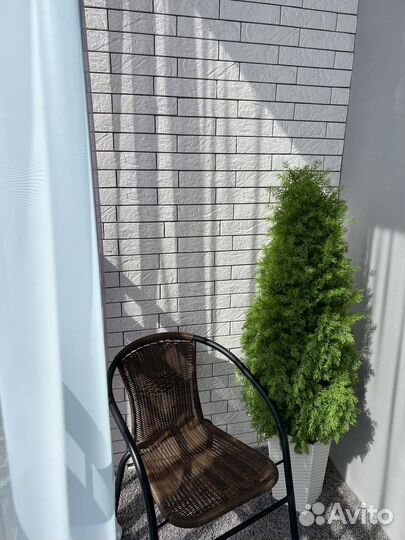 Фитодизайн озеленение интерьеров