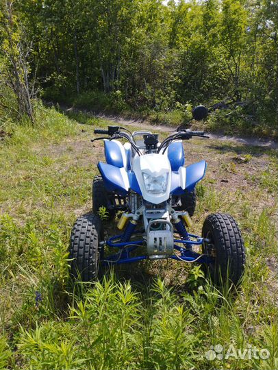 Квадрик irbis atv 250s