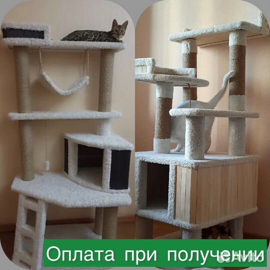 Когтеточка для кошки