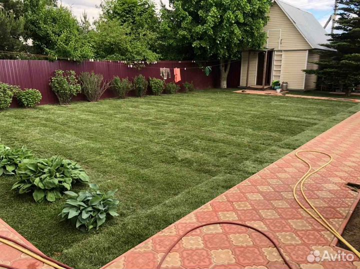 Рулонный газон от производителя